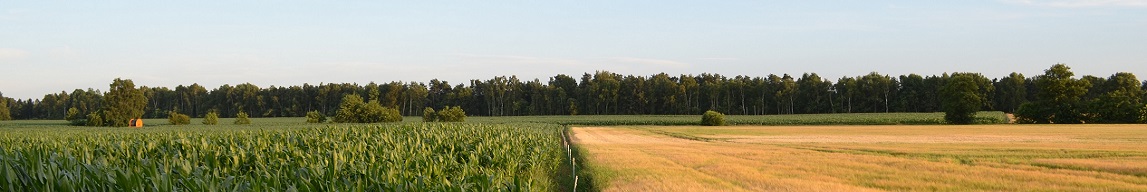 Schlaggrenze Mais und Sommergetreide